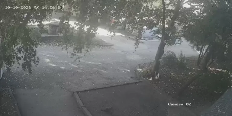 Дом по ул. Нежнова, 56 корп. 1