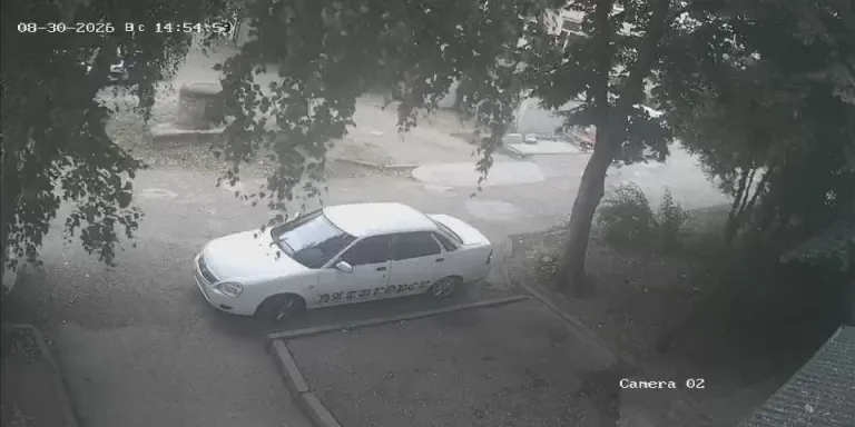 Дом по ул. Нежнова, 56 корп. 1